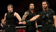 Shield in ring